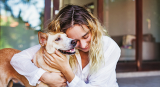 5 Common Spring Problems Pets Face and How to Protect Them