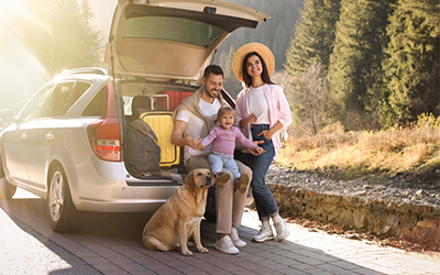 Traveling with Pets: Ensuring They Are Parasite-Free